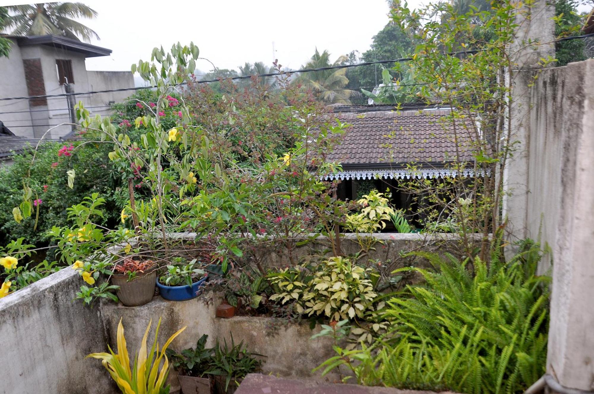 Golden Shower Inn แคนดี้ ภายนอก รูปภาพ